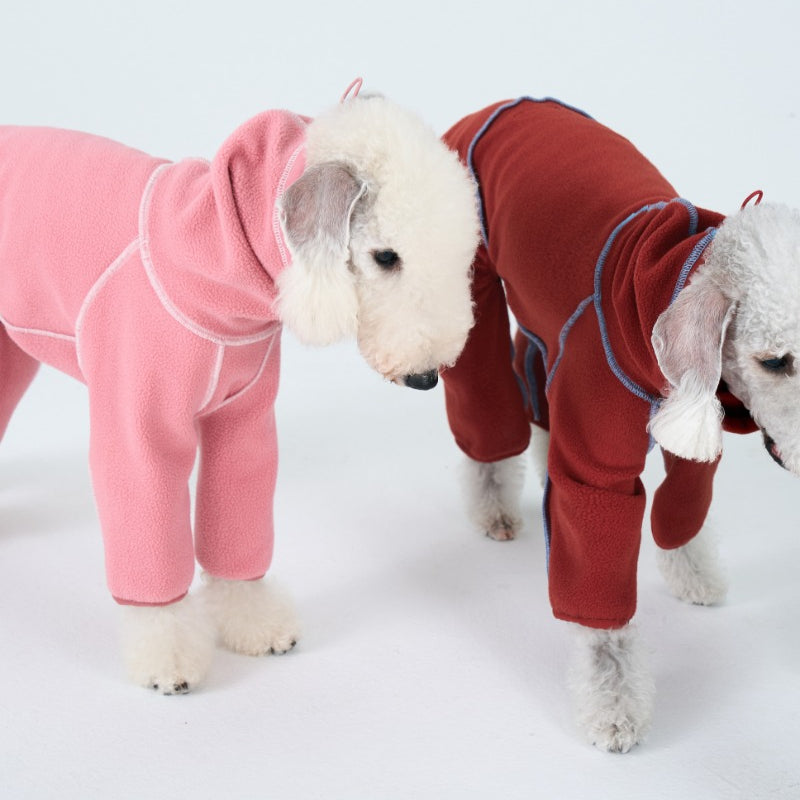 egge® Color-Block Hoodie for Dogs