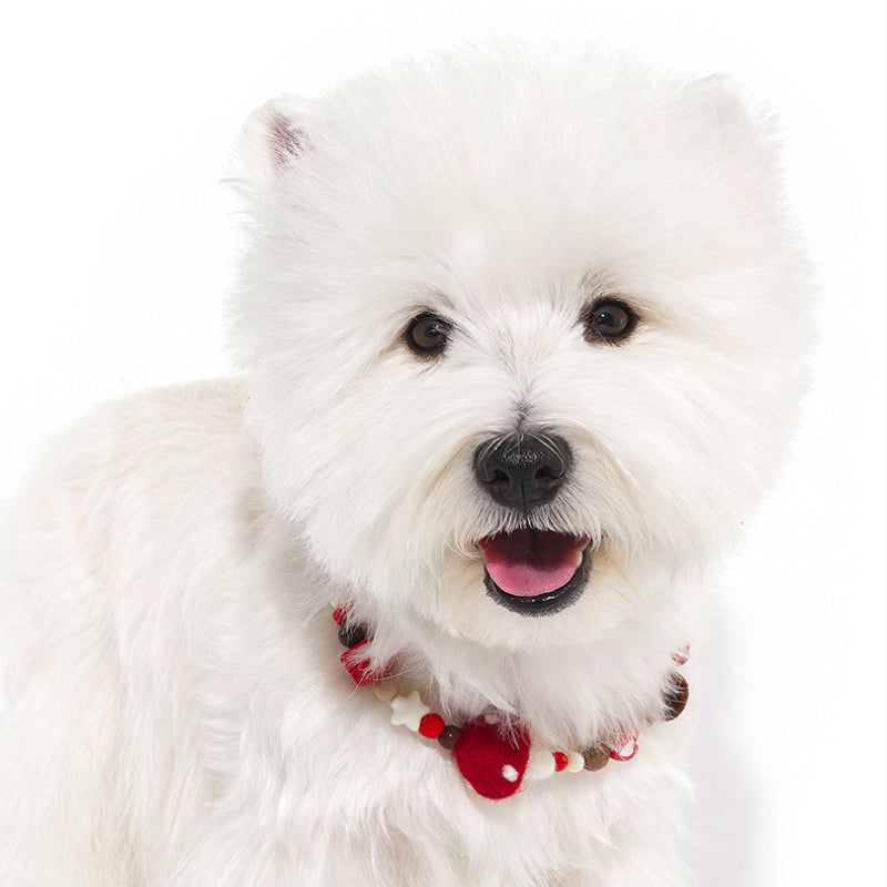 MookiPet® Stylish Necklace for Dogs & Cats