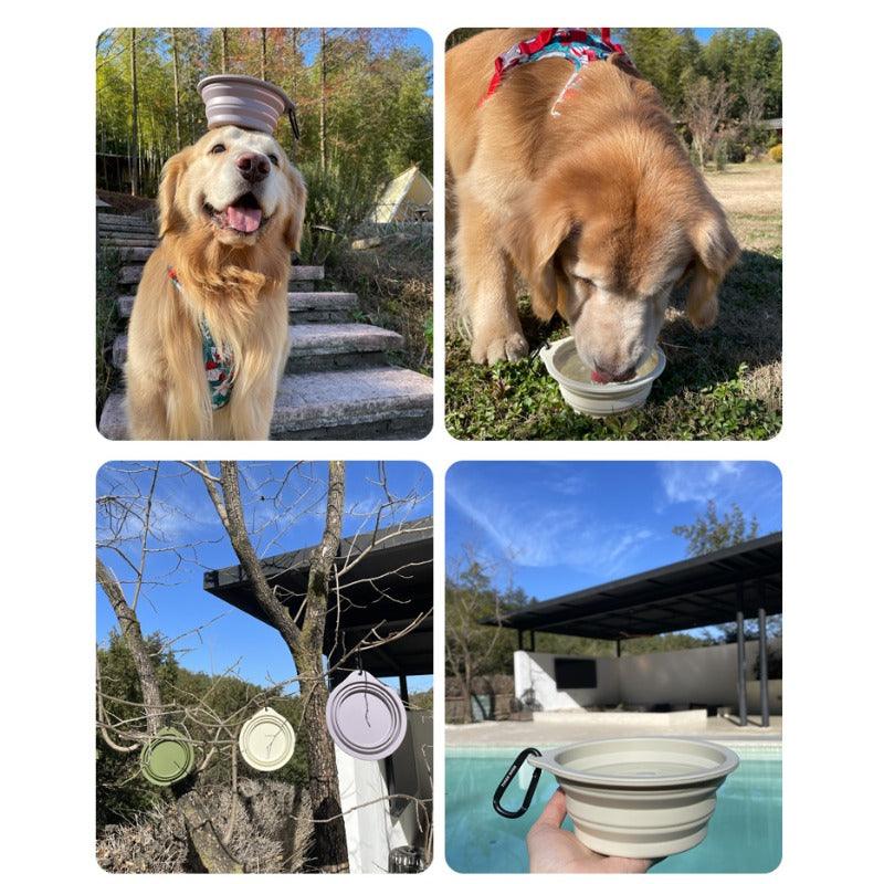 THREEDOGS® Pet Folding Bowl - KIKOPALS