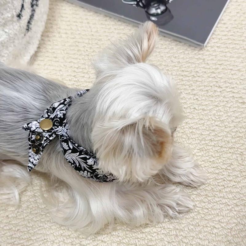 PalettePet® Black Baroque Patch Bandana - KIKOPALS