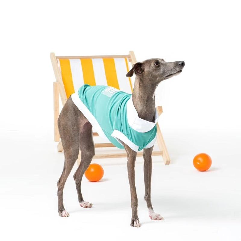 PUFFYCLOUD® Sportswear Casual Suit - KIKOPALS