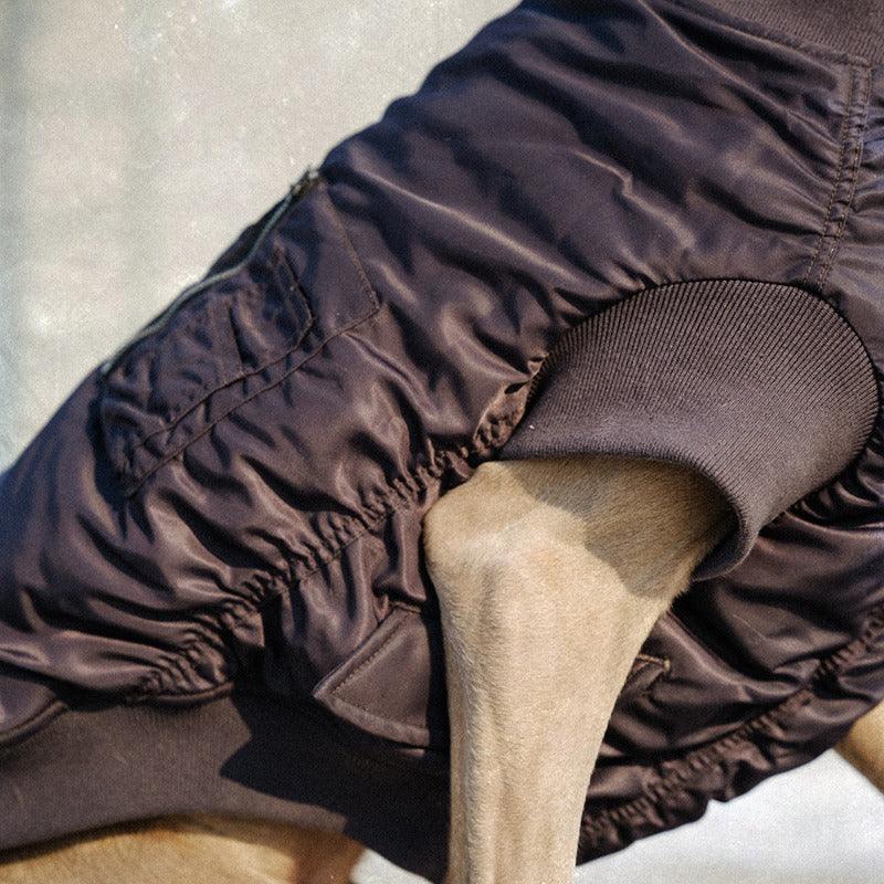 BBPRODUCTION® Pilot Dog Jacket - KIKOPALS