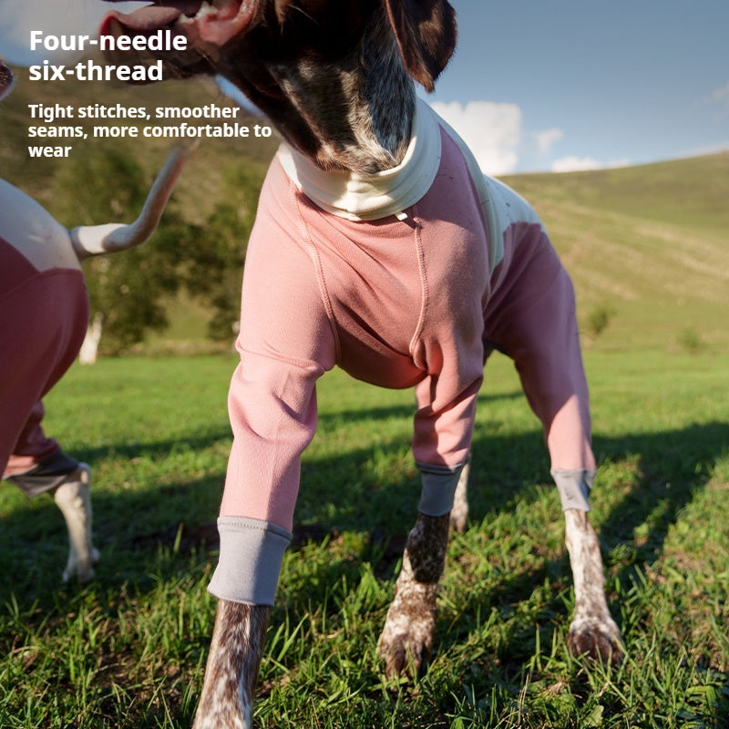 BlackDoggy® Merino Four-Legged Warmth Suit for Dogs