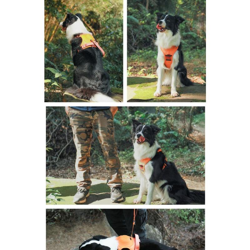 THREEDOGS® Telescopic Dog Leash Vest - KIKOPALS