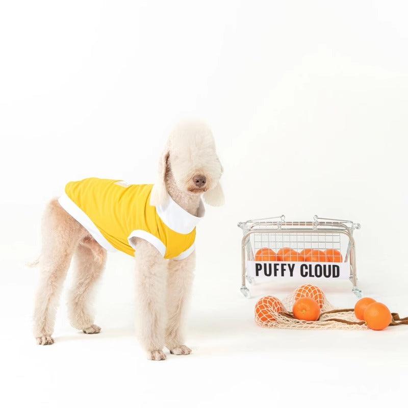 PUFFYCLOUD® Sportswear Casual Suit - KIKOPALS