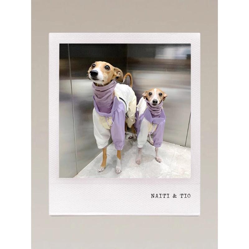 GASU® Cloudy Purple Color-Blocked Raincoat - KIKOPALS