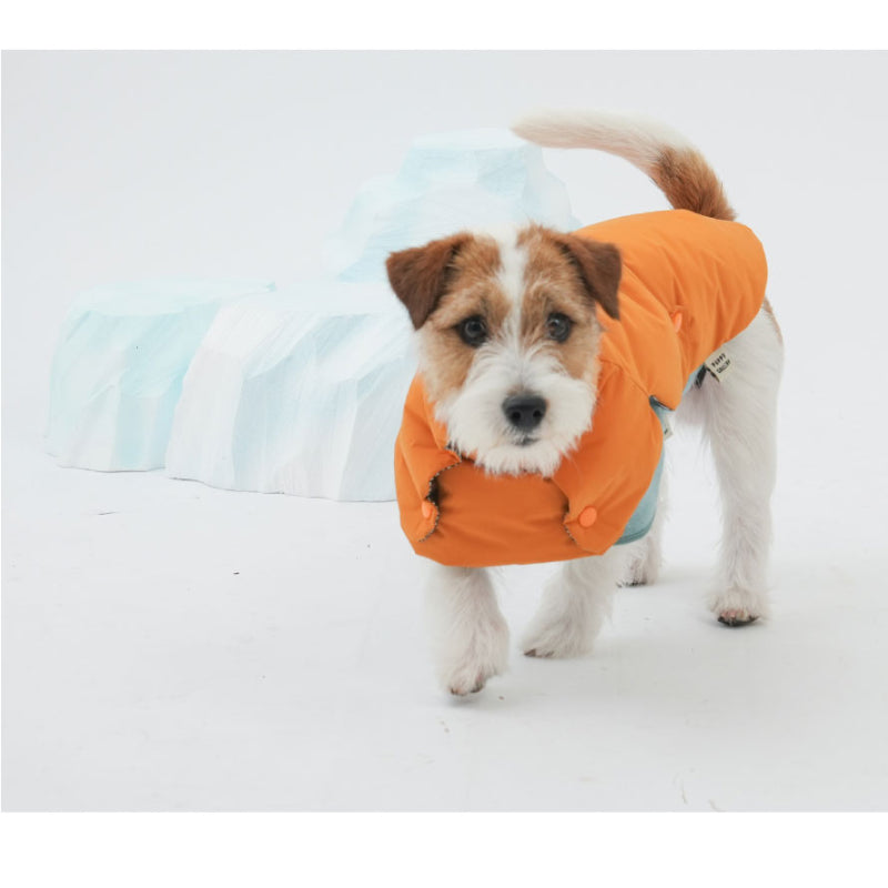 PuppyGallery® Fleece Neck Warmer Set for Dogs