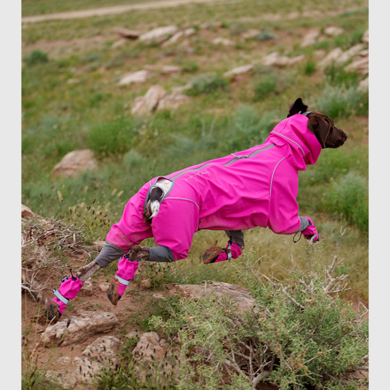 BlackDoggy® SCAPPO Outdoor Dog Boots – Durable & Waterproof