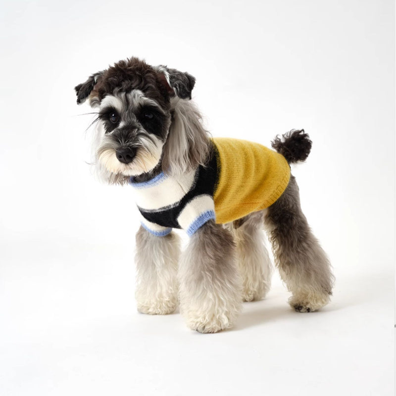 Nuoz® Gradient Color Block Sleeveless Knit Vest for Dogs
