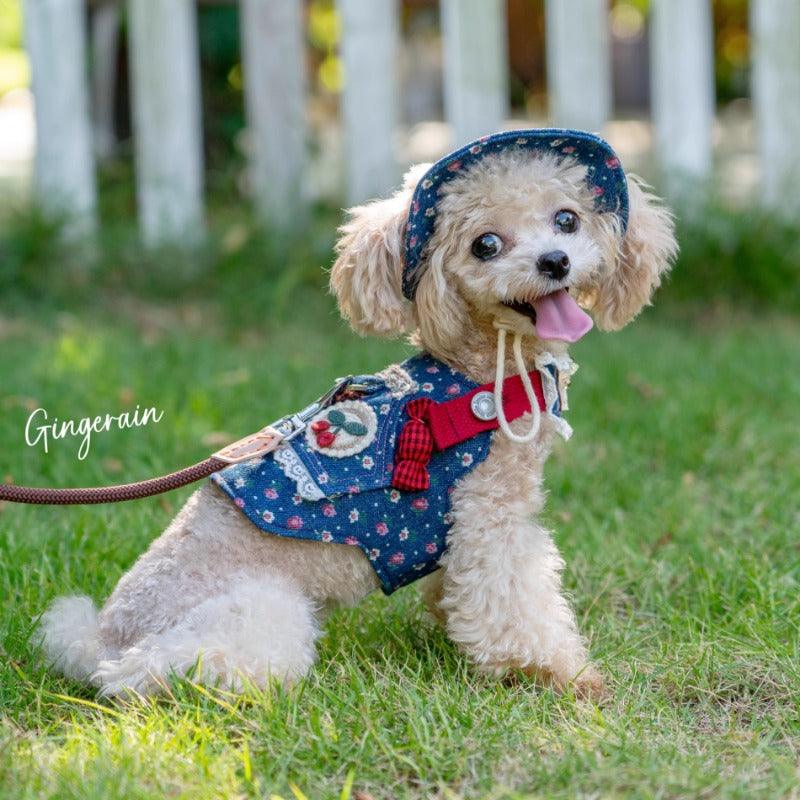 GINGERAIN® Outdoor Denim Dog Harness Leash & Hat Kit - KIKOPALS