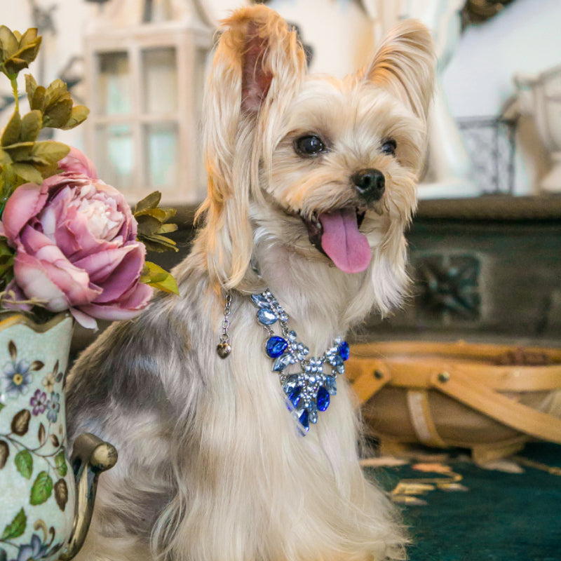 ARKIKA® Pearl Diamond Pet Collar Necklace