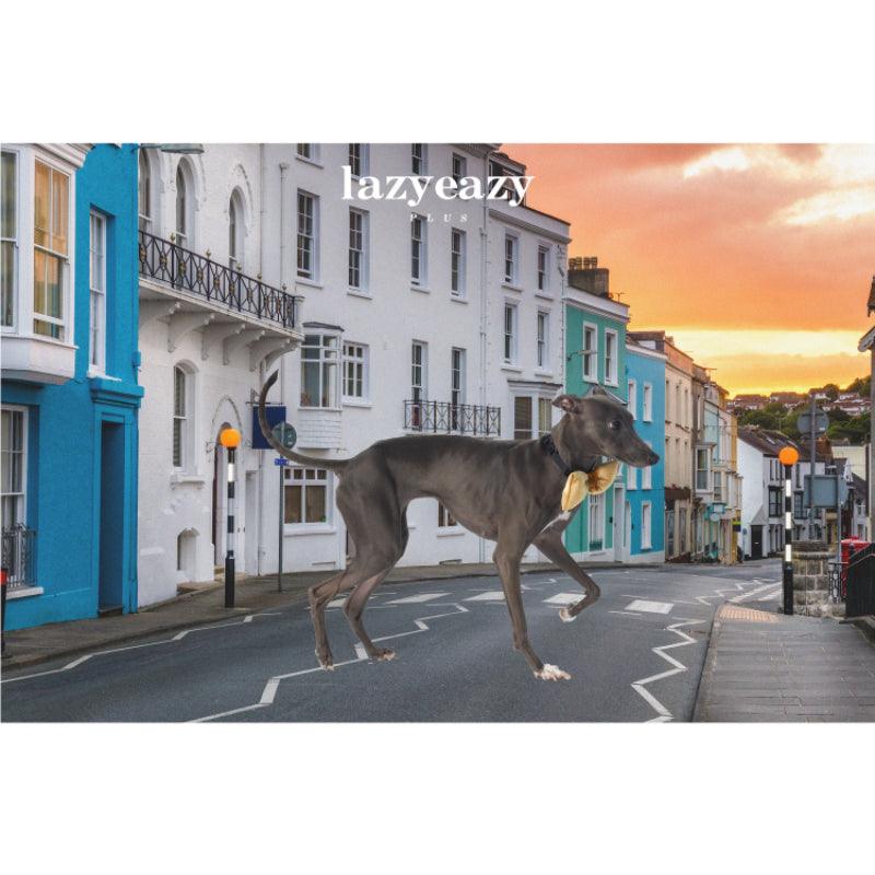 LazyEazy® Velvet Pet Bow Tie - KIKOPALS