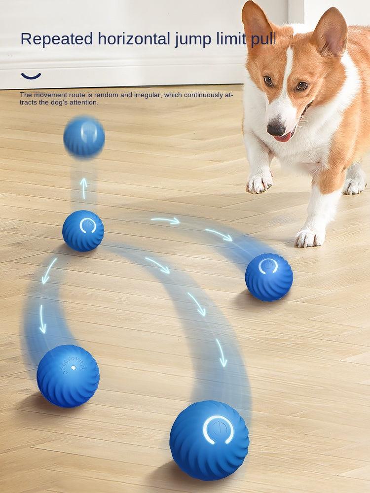 petgravity® Dog Toy Ball Set - KIKOPALS