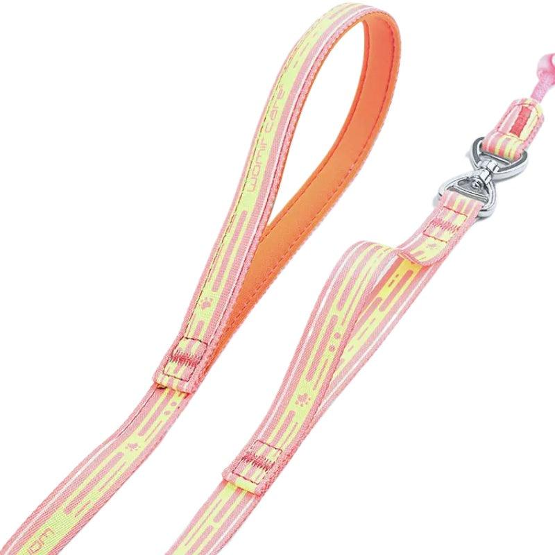 WomirCare® P-chain Dog Leash - KIKOPALS