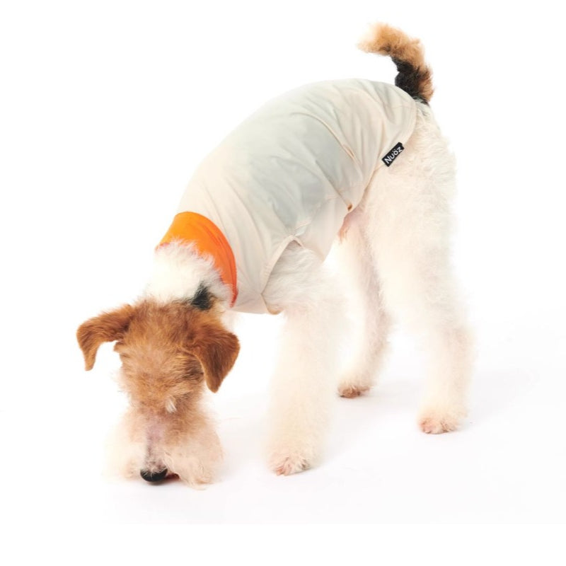 Nuoz® Pet Cooling Base Layer with Color Block Design for Dogs