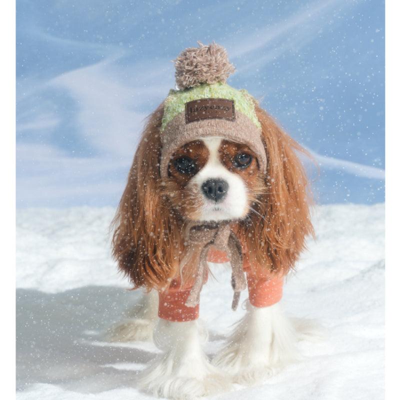 LazyEazy® Knitted Dog Hat - KIKOPALS