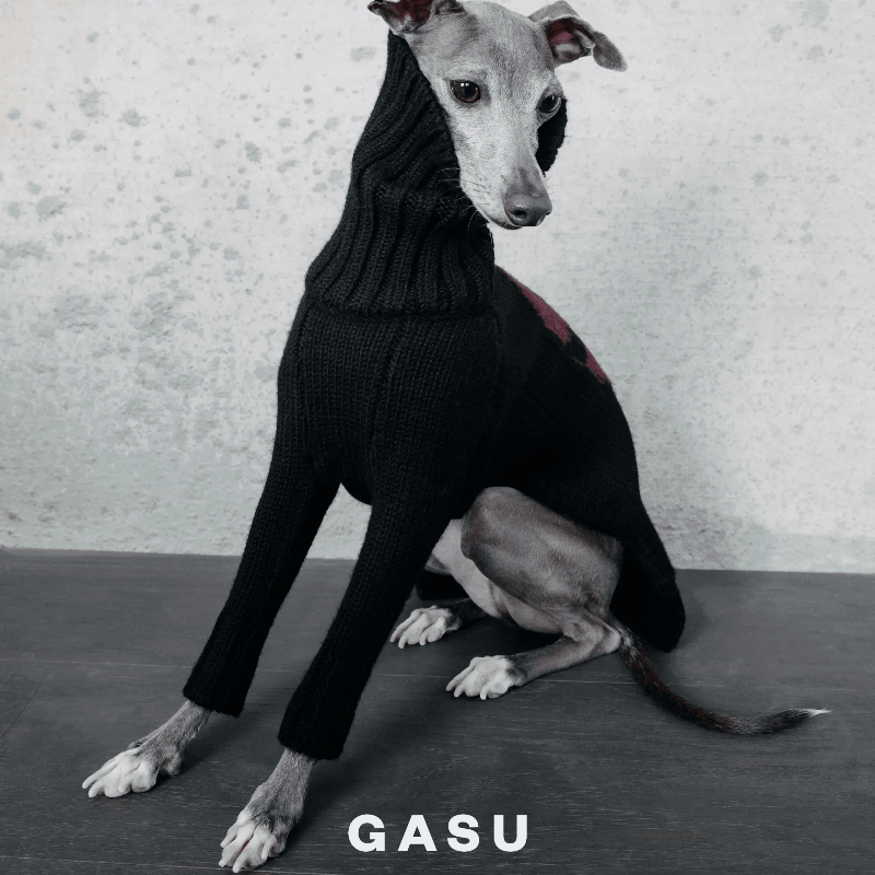 GASU® Chunky Wool Dog Two-Legged Sweater - KIKOPALS