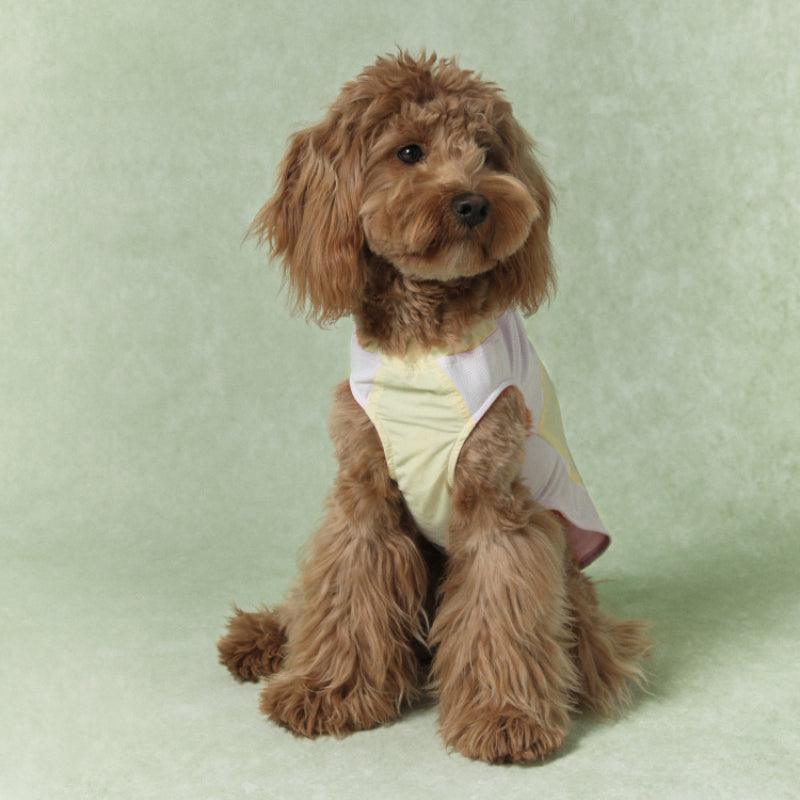 LazyEazy® Colorblock Adjustable Pet Vest - KIKOPALS