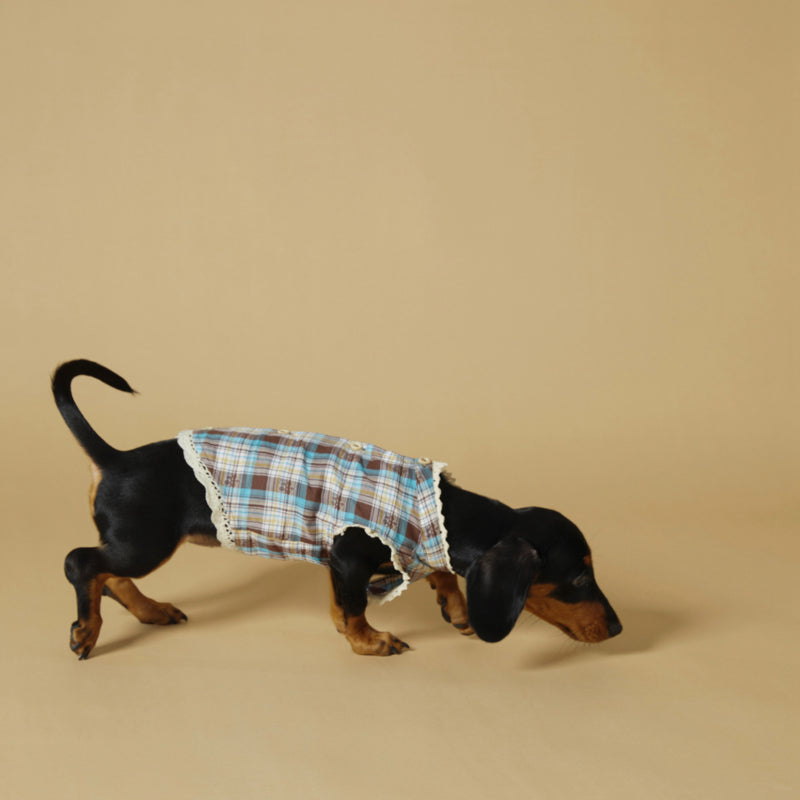 KIYOTT® School Style Blue Plaid Dress for Dogs