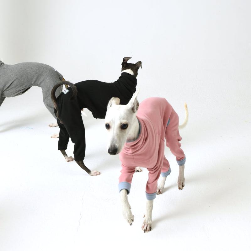 iiNeed® Comfortable Base Layer for Dogs
