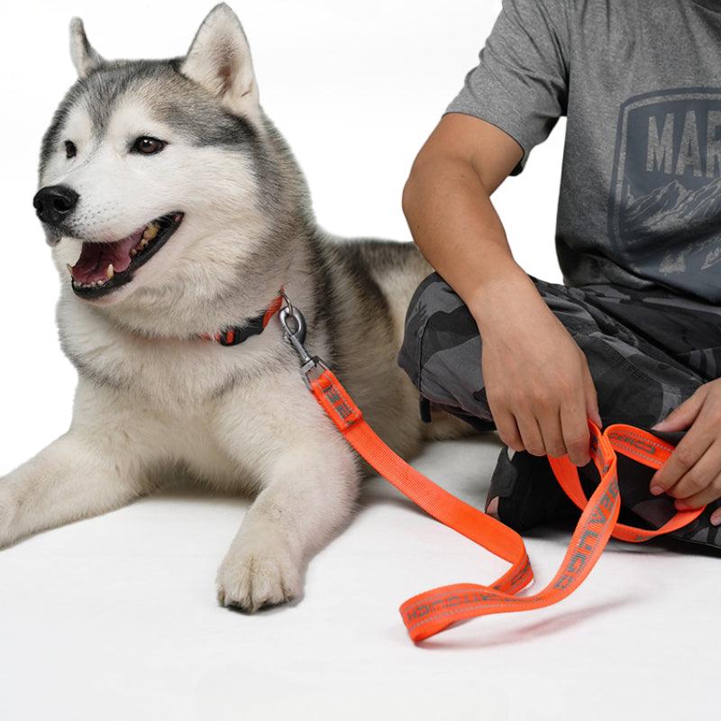 BeauGo® Orange Reflective Pet Leash - KIKOPALS