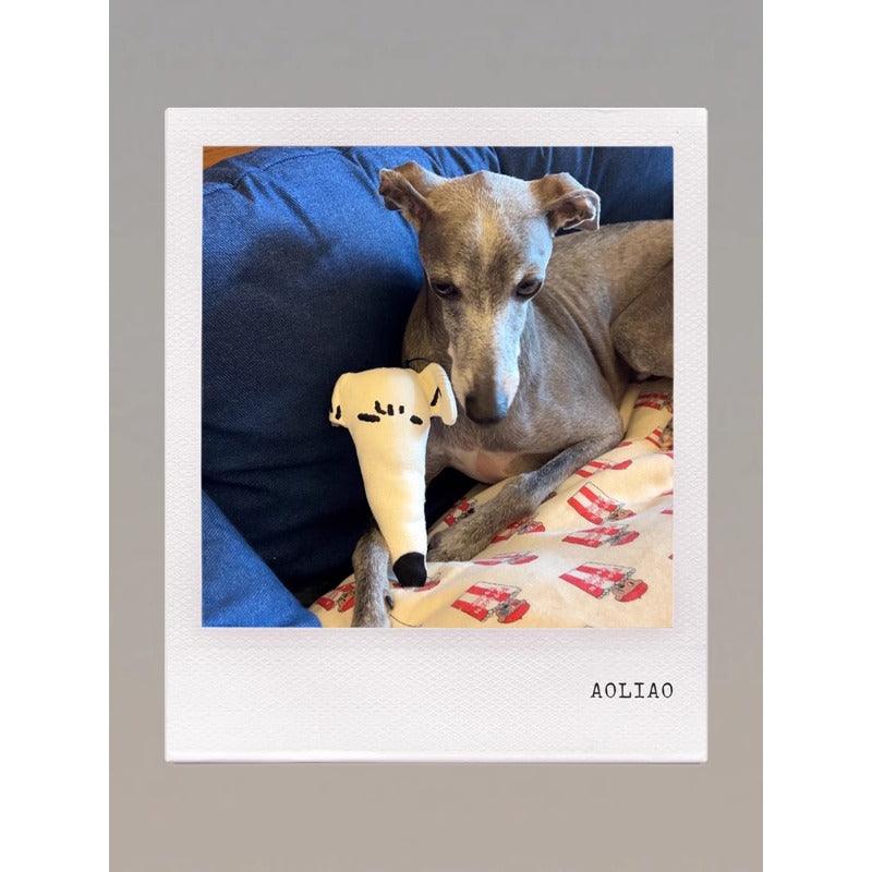 GASU® Squeaky Dog Plush Toy - KIKOPALS