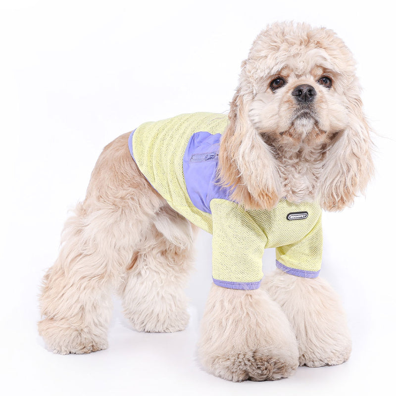 MookiPet® Breathable Mesh T-Shirt for Dogs – Yellow, Quick-Dry, and Practical