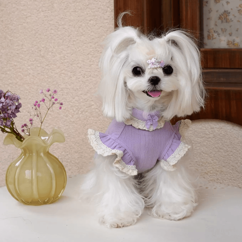 BOWWW® Pet Little Sweetheart Knitted Base Layer Top - KIKOPALS