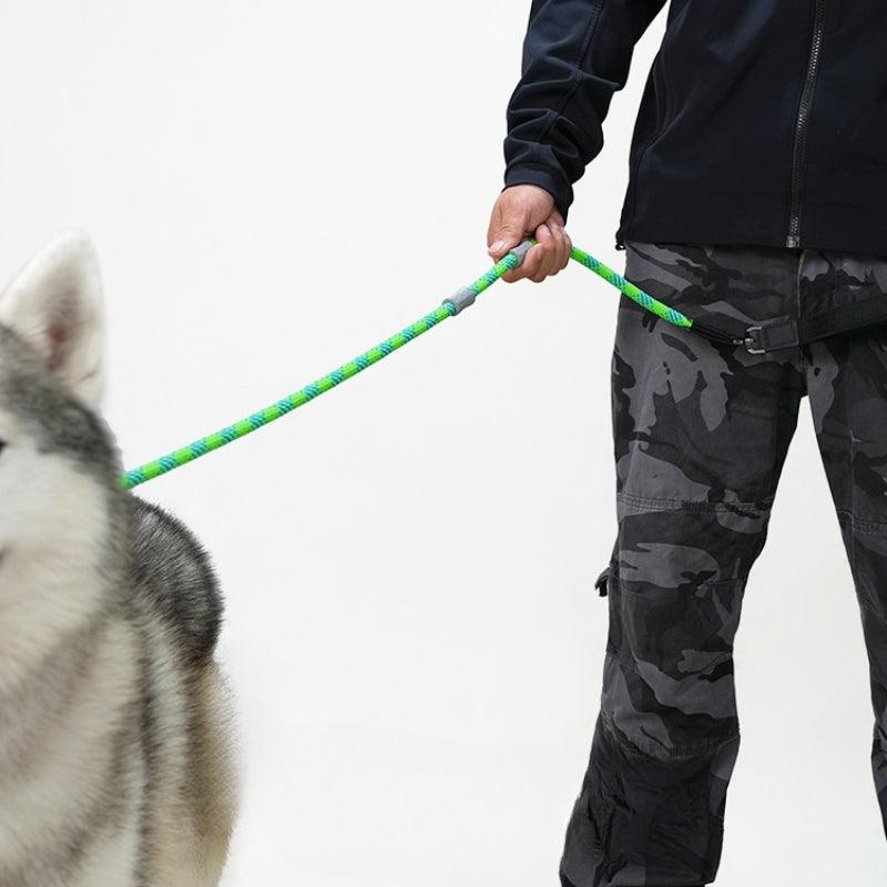 BeauGo® Dog Training Leash - KIKOPALS
