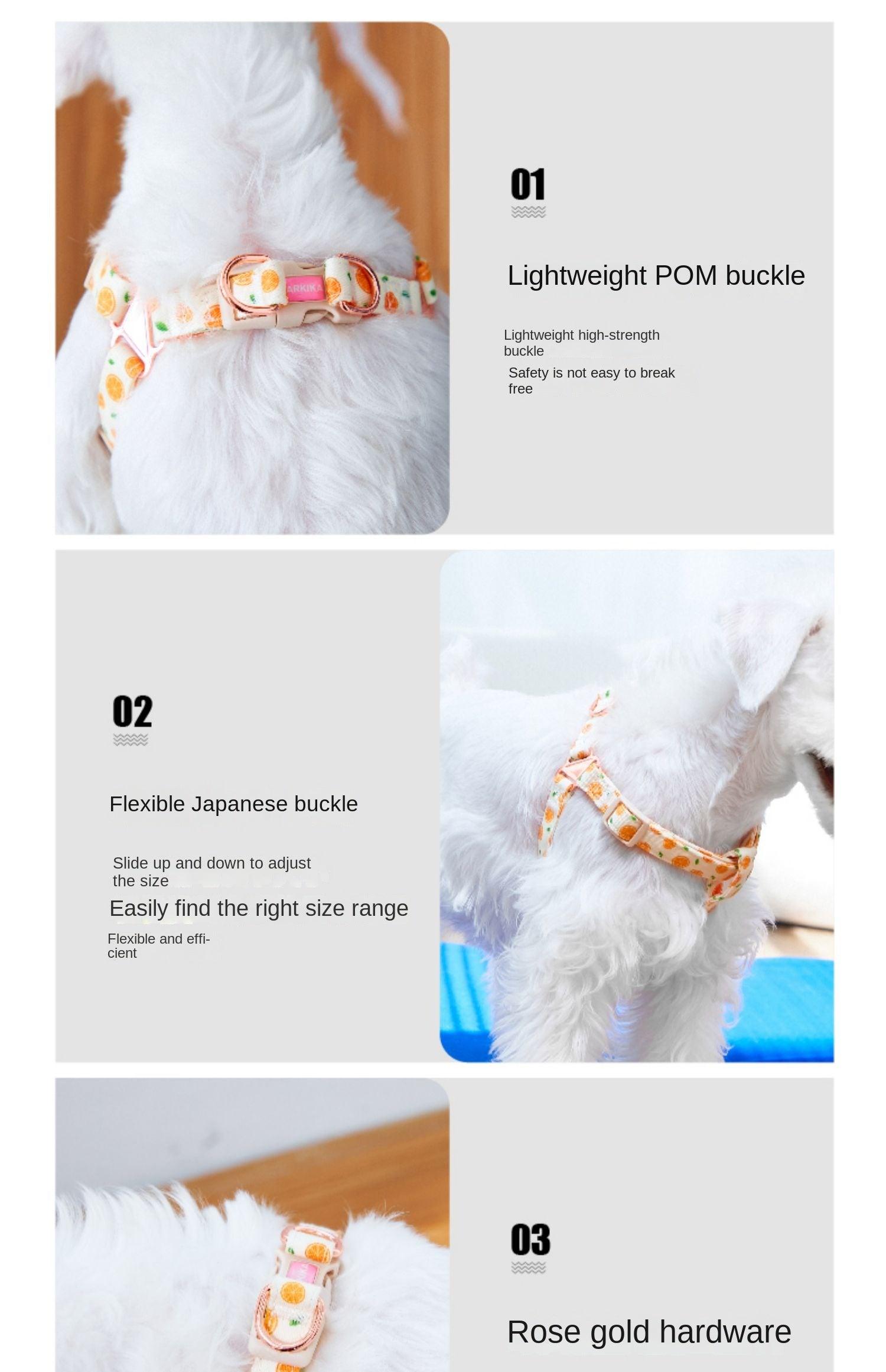 ARKIKA® Fruit-Colored Dog Harness Leash Kit - KIKOPALS