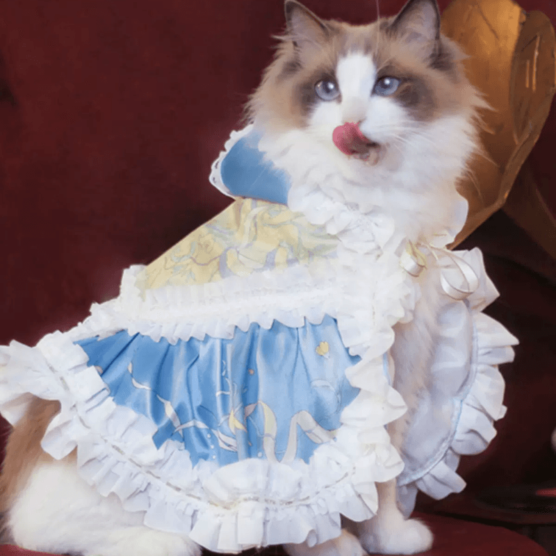 BITEONE® Blue Lolita Cape for Cats - KIKOPALS