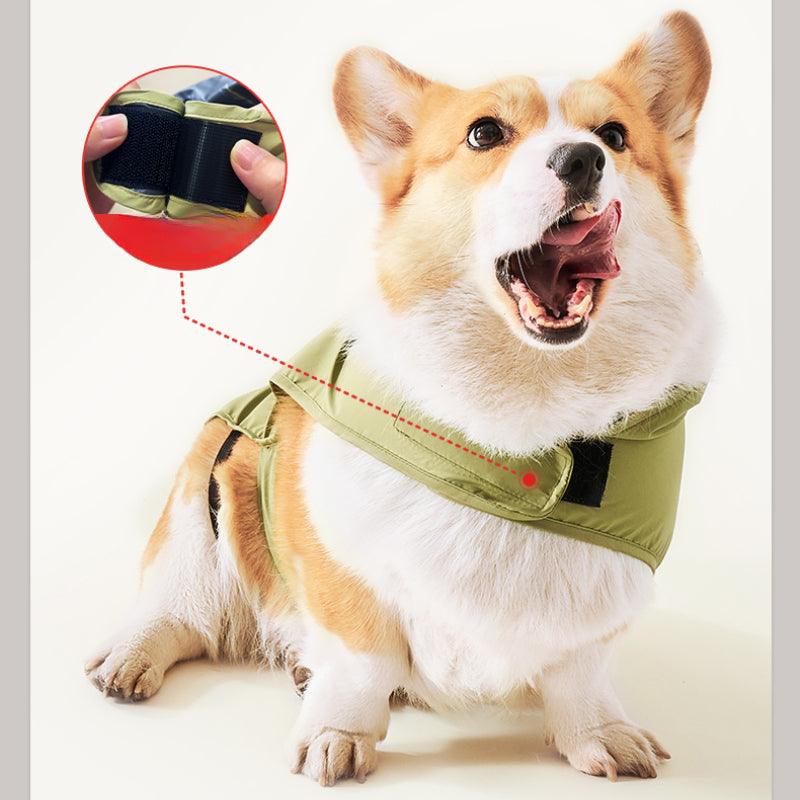 petstar® Dog Raincoat - KIKOPALS