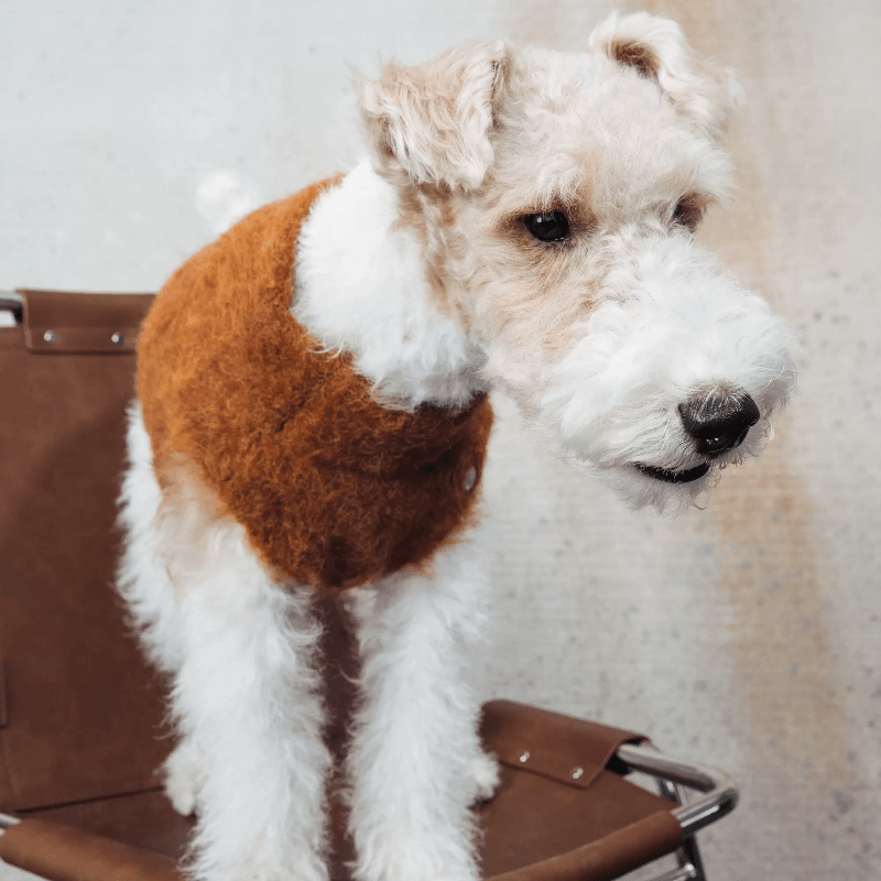 GASU®Vest for Dog - KIKOPALS