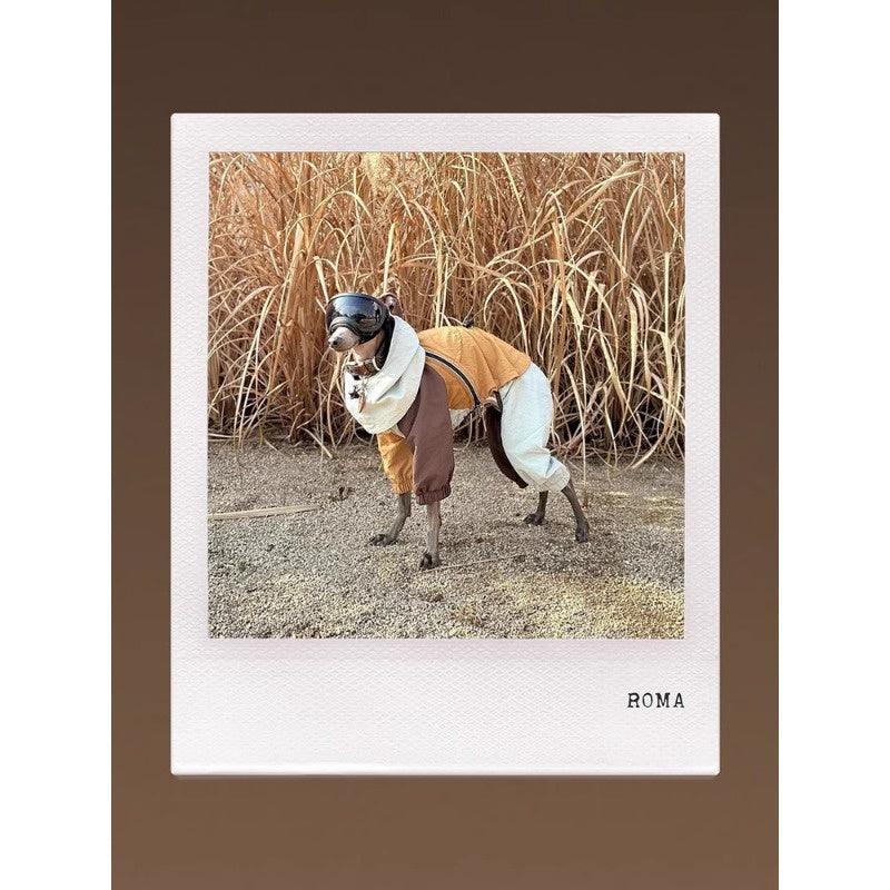 GASU® Waterproof Detachable Whippet Raincoat - KIKOPALS