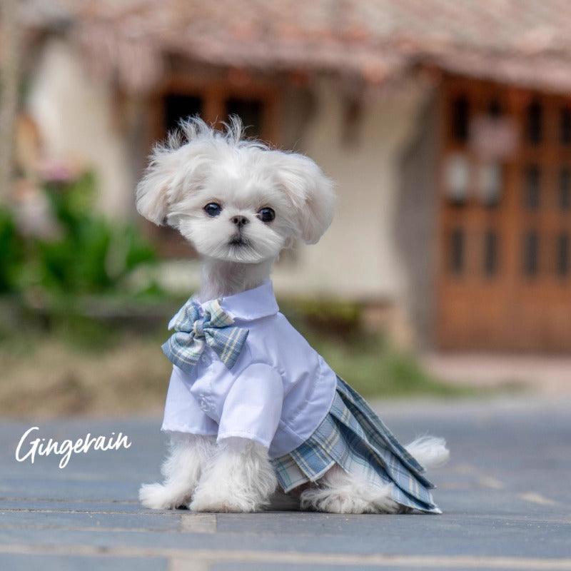 GINGERAIN® Blue JK Pet Dress - KIKOPALS