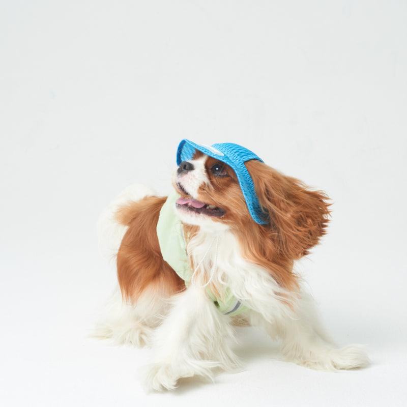 LazyEazy® Mesh Pet Sun Hat - KIKOPALS