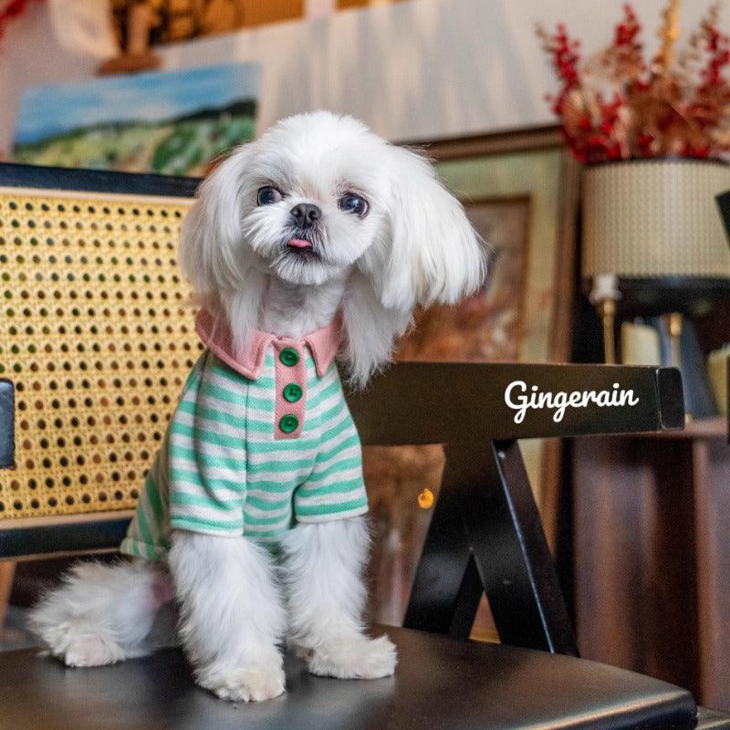 GINGERAIN® Creamy Green Striped Cotton Pet Polo Shirt - KIKOPALS