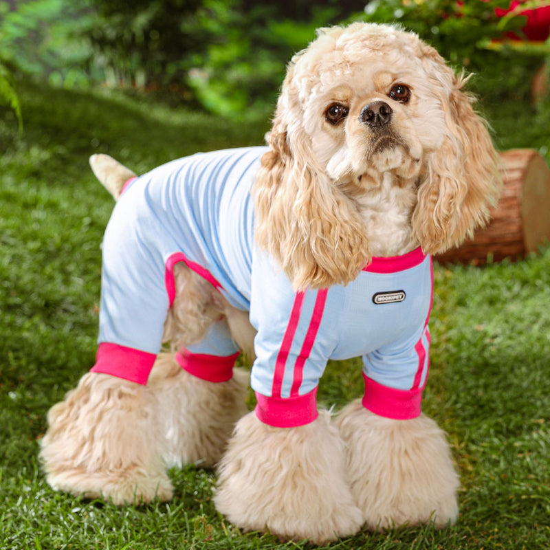 MookiPet® Mesh Cool Four-Legged Clothes for Dogs – Blue