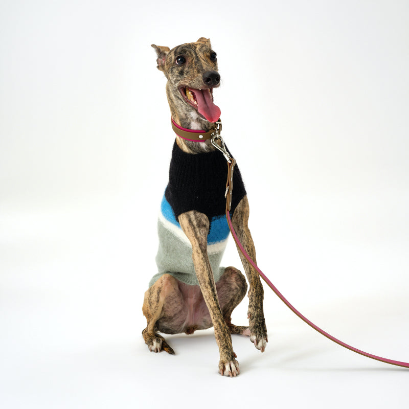 Nuoz® Gradient Color Sleeveless Knit Vest for Dogs – Mohair Wool Blend