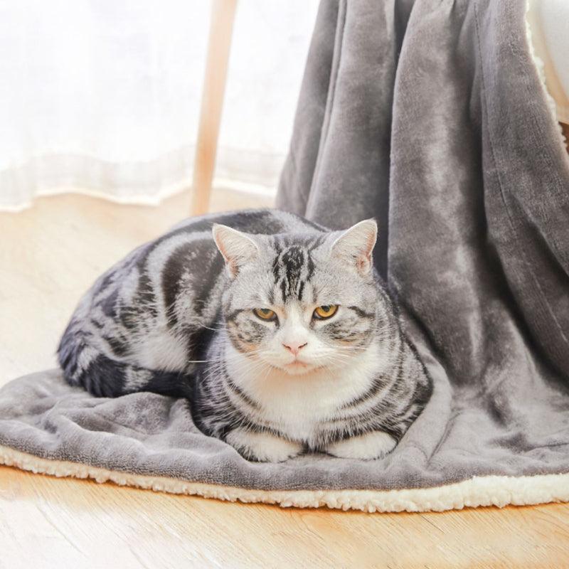 POPOCOLA® Pet Blanket - KIKOPALS