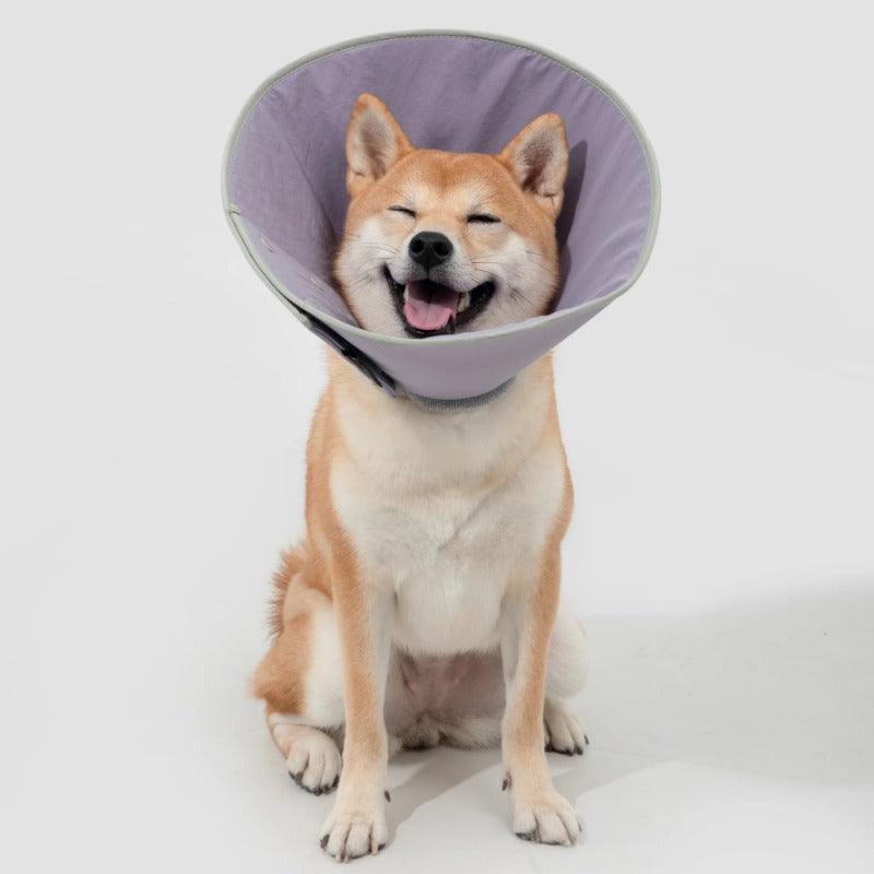 HiDREAM® Snap Taper Elizabethan Pet Recovery Collar - KIKOPALS