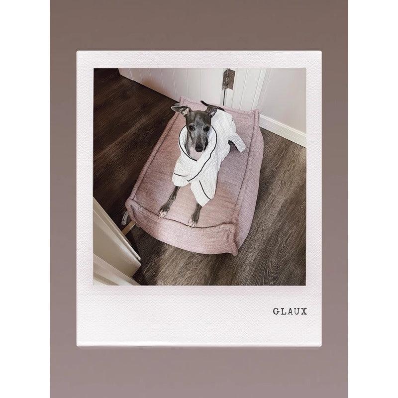 GASU® Ultra-Absorbent Microfiber Pet Bathrobe - KIKOPALS