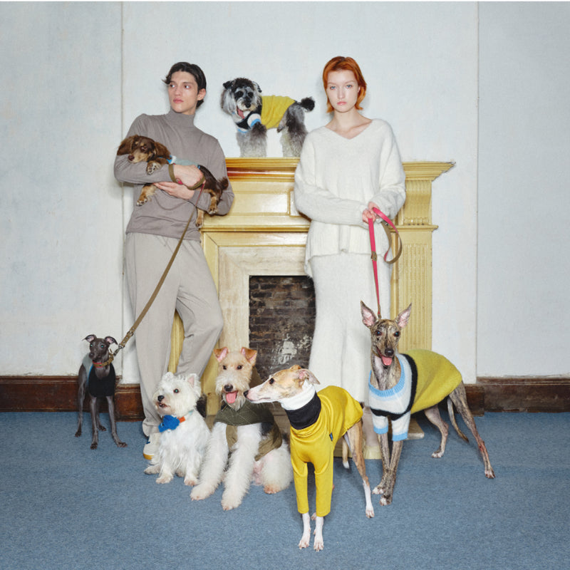 Nuoz® N Series Double Color Windproof Pet Coat for Dogs– Olive Green