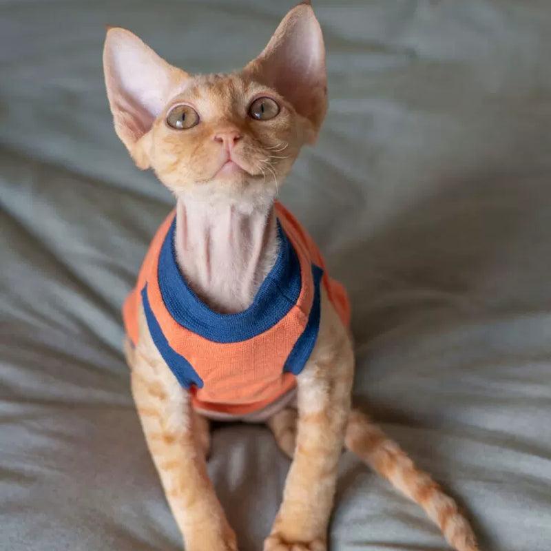 GINGERAIN® Blue & Orange Striped Cat Vest - KIKOPALS