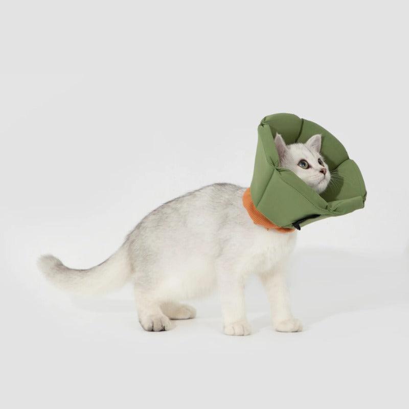 HiDREAM® Cat Soft Tapered Elizabethan Rings - KIKOPALS