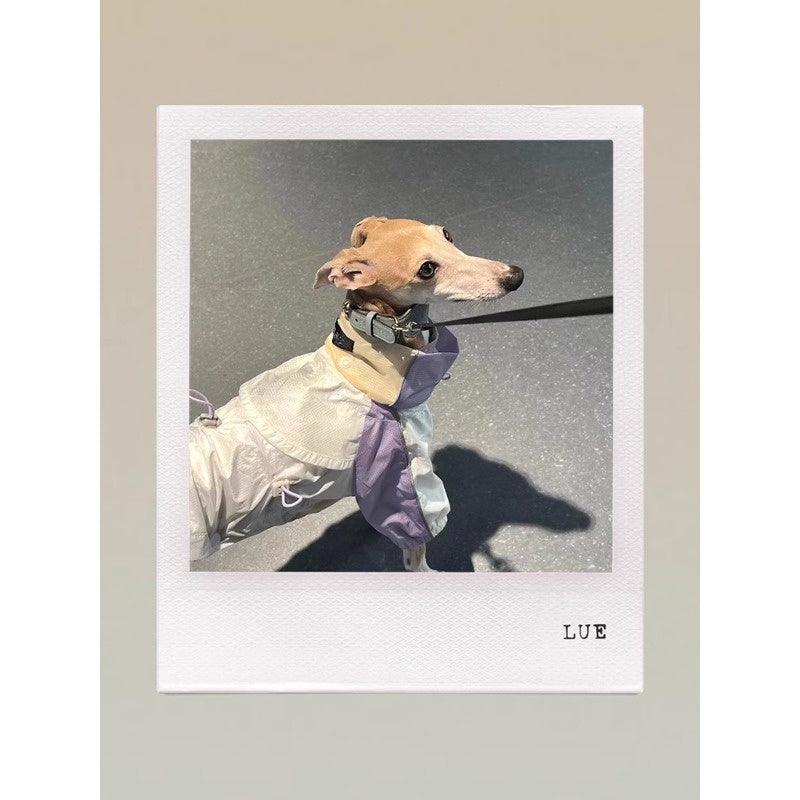 GASU® Cloudy Purple Color-Blocked Raincoat - KIKOPALS