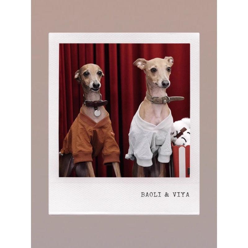 GASU® Embroidered Vintage Lightweight Pet Sweater - KIKOPALS