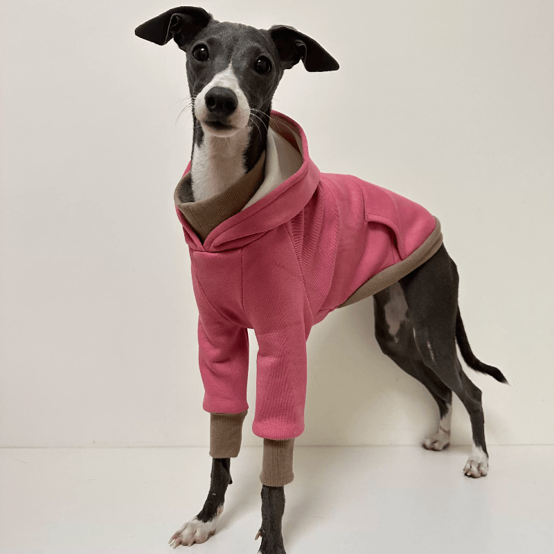 A HUNTING DOG® Dog Faux Collar Hoodie - KIKOPALS