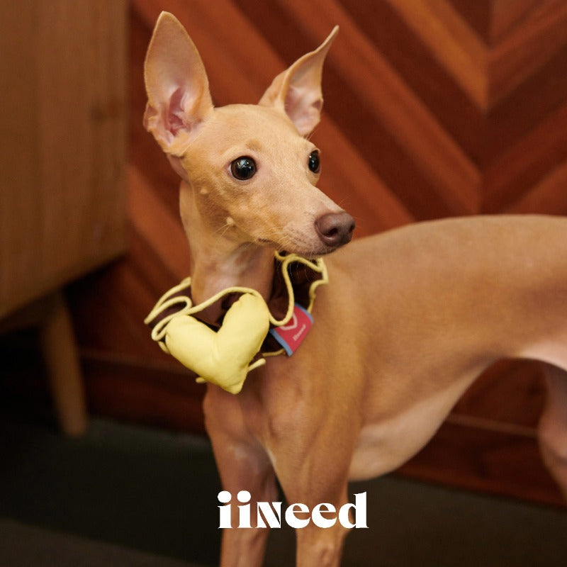 iiNeed® Heart-Shaped Pet Bibs & Scarves