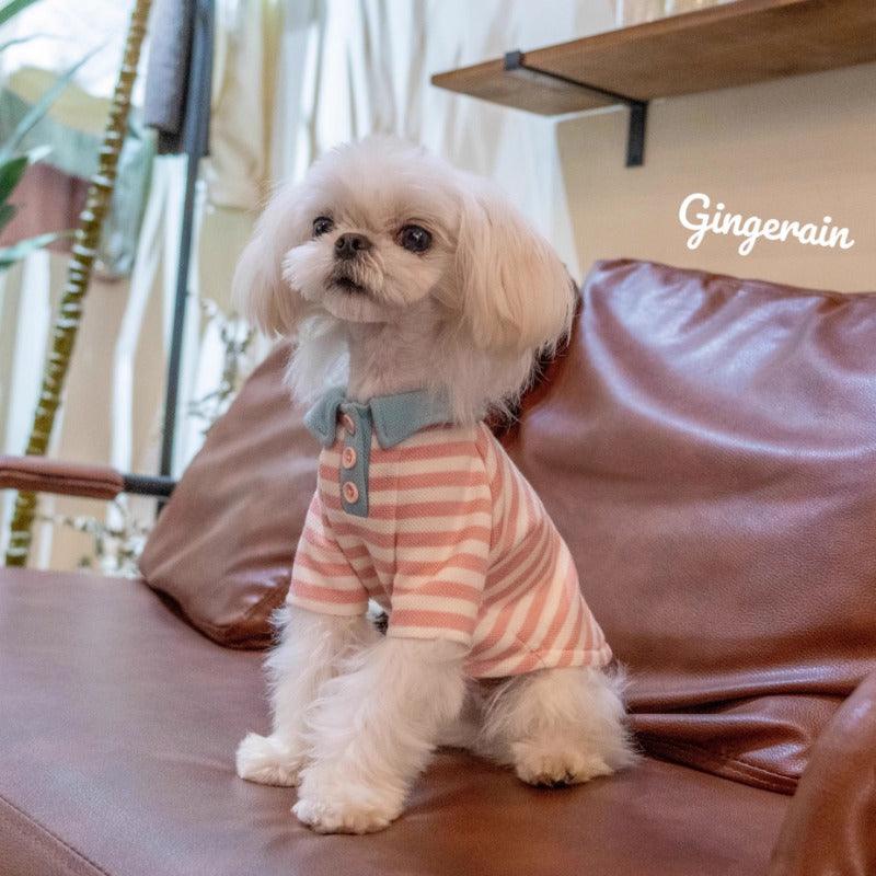 GINGERAIN® Creamy Striped Cotton Pet Polo Shirt - KIKOPALS